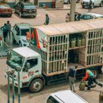 Middle East LPG exports surge, but India’s reduced subsidies may impact demand, Vortexa says