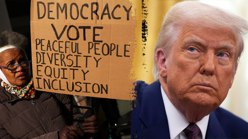Trump’s DOGE push slashes millions in DEI contracts funding ‘divisive ideologies’ in blue states
