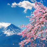 Ripple’s $666M RLUSD stablecoin to launch in Japan in 2026 with SBI Holdings