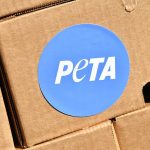 DAN GAINOR: The 5 craziest stories of October — from Karine Jean-Pierre to PETA plaques